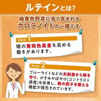 【最短当日配送】DHCルテイン光対策60日分60粒【DHCサプリメント】ルテイン(機能性表示食品)