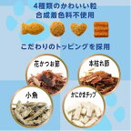 懐石 2つのごほうび かつお節添えペア 猫用 650g