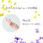 薬用せっけん ミューズ 泡ハンドソープ ボタニカル 本体 ボトル 250ml