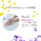 薬用せっけん ミューズ 泡ハンドソープ ボタニカル 本体 ボトル 250ml