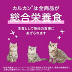 カルカン パウチ １２ヵ月まで子ねこ お魚ミックス まぐろかつおたい キャットフード 60g×8袋入