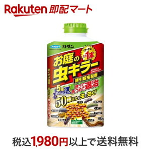 t}L[ J_ ̒L[ UE 700g yJ_z |pE