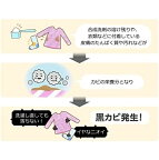 【最短当日配送】Ｎ−Ｗ２洗濯槽クリーナードラム式専用750ml