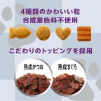 懐石2つのごほうび腎臓の健康維持猫用600g