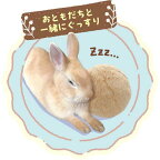 たち耳ちゃんのうさけつボール 1個