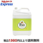 パックスナチュロンボディーソープ大容量5L