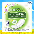 チャームナップ 吸水さらフィ オーガニックコットン 中量用 無香料 羽なし 50cc 23cm 14枚入