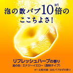バブメディキュア爽快リカバリー6錠【バブ】