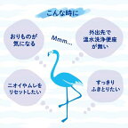 女性用 デリケートゾーン ウェットシート フェムウエット 無香料 10枚×3個