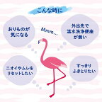 女性用 デリケートゾーン ウェットシート フェムウエット サボン 10枚×3個