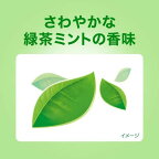 【最短当日配送】ディープクリーン薬用ハミガキ60g【ディープクリーン】歯周病歯磨き