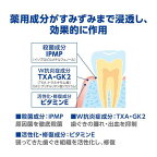 デントヘルス 薬用 デンタルリンス 450ml
