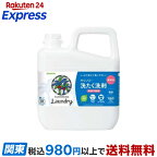 ヤシノミ洗たく洗剤濃縮タイプ5kg