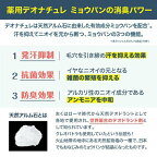 デオナチュレ ソフトストーンW 20g
