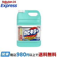 カビキラー カビ取り剤 業務用サイズ 詰め替え 大容量 5000g 【カビキラー】 防カビ・カビとり