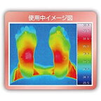 ピップ エレキバン 足裏バンド 2個入