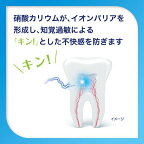 シュミテクト コンプリートワンEX 90g