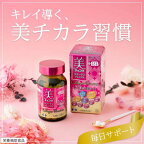 美チョコラコラーゲンプレミアム 栄養補助食品 140粒入