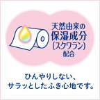 サニーナ トイレットロール つめかえ用 25m(2枚重ね) 2本入