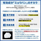 デオナチュレ 男クリスタルストーン 60g