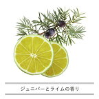 iroha インティメートウォッシュ フレッシュ 135ml