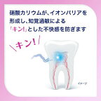 シュミテクト歯周病ケア95g