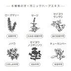 デンタルビューティーケア ホワイトニング 100g