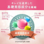 アミノコラーゲン約28日分196g