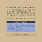 UCC GOLD SPECIAL PREMIUM ベリーフルーティ 140g