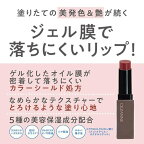 セザンヌリップカラーシールド01フィグブラウン1個【セザンヌ(CEZANNE)】リップカラー