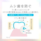ライティーハミガキプレミアム53g