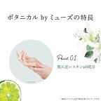 泡ミューズ ノータッチ付替ボトル ボタニカル ホワイト 250mL