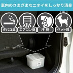 消臭力 クルマ用 置き型消臭剤 BIG 無香料 900g