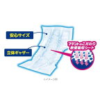 アテント お肌安心パッド 軟便モレも防ぐ 16枚入
