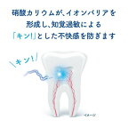 シュミテクト トゥルーホワイト 80g