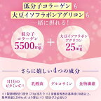 パーフェクトアスタコラーゲンパウダー イソフラボンプラス 228g