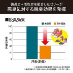 脱臭炭 下駄箱用 脱臭剤 大型 強力タイプ 玄関 こわけ3個入 3コ入