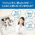 無香空間 ペット用 置き型 消臭ビーズ 詰替用 710g