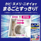 強力カビハイター排水口そうじこれだけ40g×6袋入キッチン用掃除用品