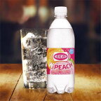 ウィルキンソンタンサンダブルピーチ500ml×24本入