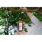 ハチがホイホイ 蜂用捕獲器 1個