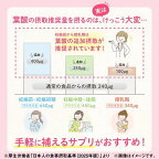 葉酸鉄カルシウム 約30日分 90粒入り