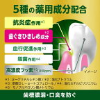 ディープクリーン薬用ハミガキひきしめ塩100g【ディープクリーン】歯磨き粉