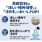 アイシー・スパーク ICY SPARK from カナダドライ ラベルレス PET 430ml*24本入