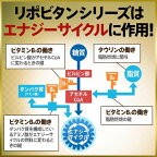 大正製薬 リポビタンDハイパー 100ml*10本入