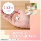 美 チョコラ コラーゲン 120粒