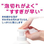 キレイキレイ薬用泡ハンドソープシトラスフルーティの香り本体250ml