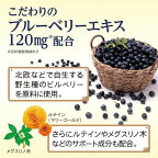ブルーベリー ルテイン メグスリノ木 約30日分 60粒入り