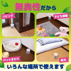 KINCHO ダニコナーズ ビーズタイプ 60日 無臭性 170g