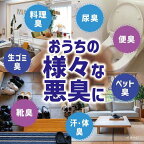 無香空間 消臭ビーズ 無香料 つめ替用 特大 648g
